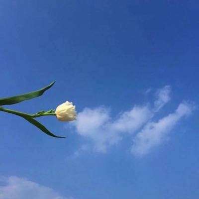 代号yc官方版(暂未上线)v1.0.0 安卓版