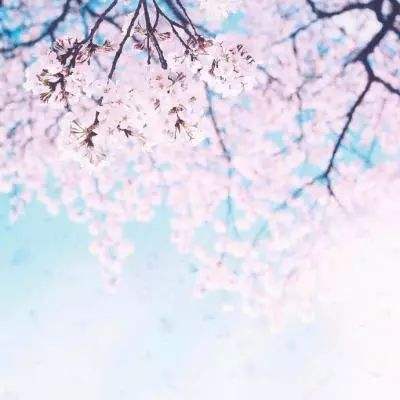 龙神召唤手游